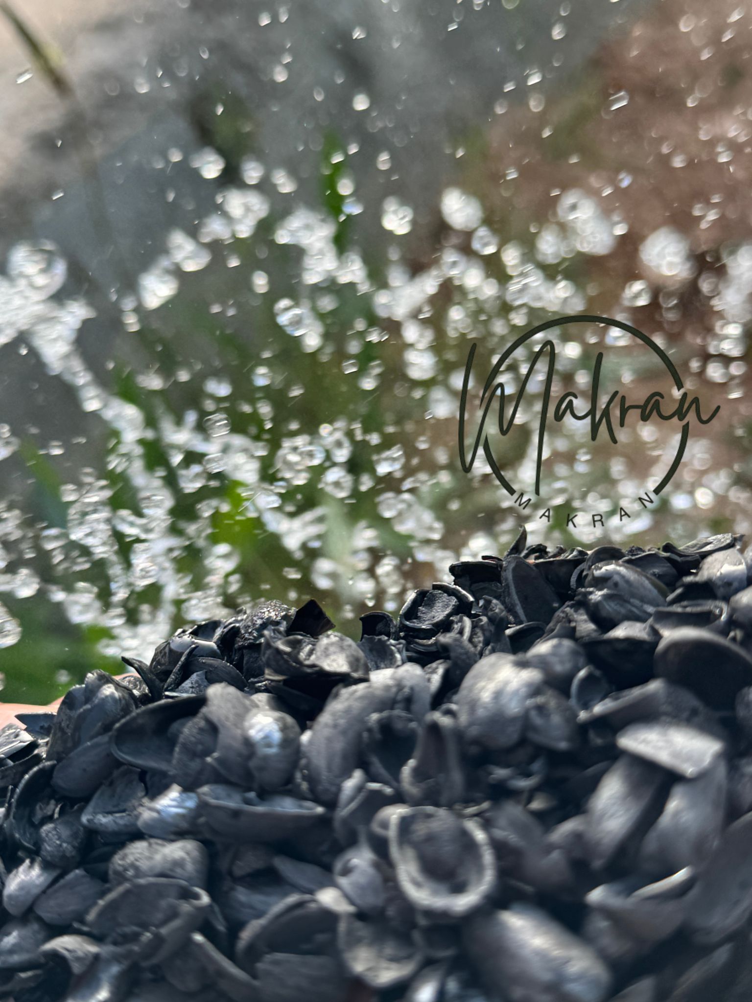 Filtration & Water Treatment 
